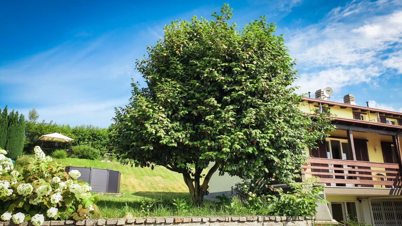 Gardenpark Soleil Βίλα Nebbiuno Εξωτερικό φωτογραφία